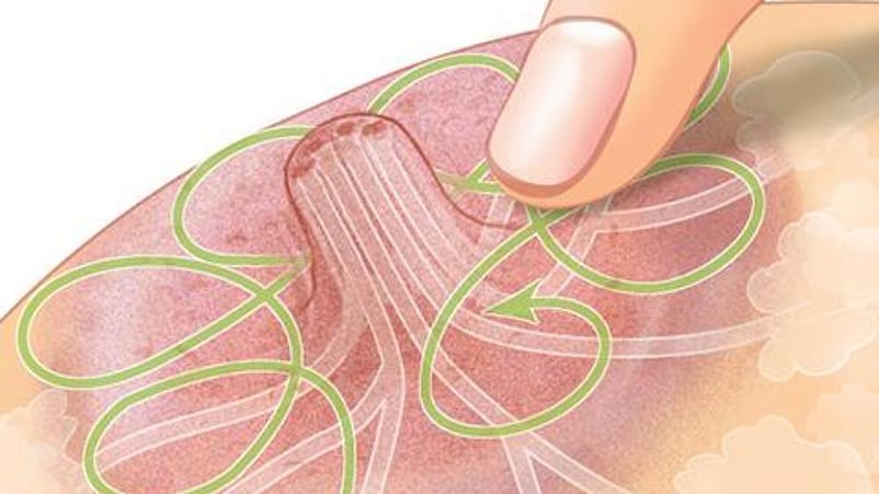 illustration du mamelon