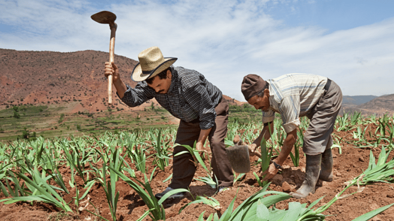 werken in weleda tuin