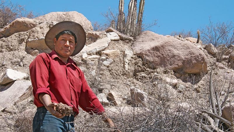 Man från en av Weledas odlingar