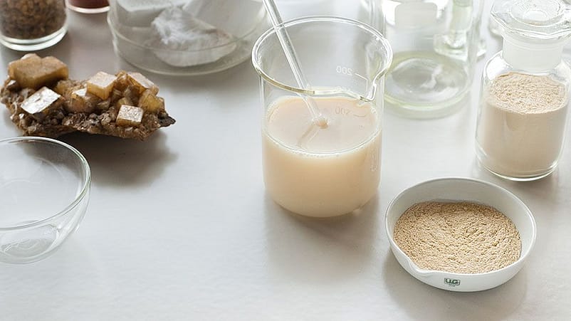 ingredientes naturales