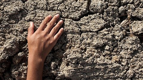 Hand auf einer trockenen Mauer