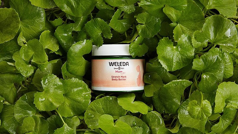 Schwangerschafts Body Butter