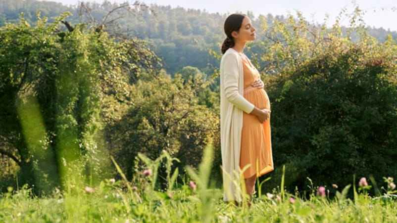 mujer embarazada disfrutando de un paseo en la naturaleza