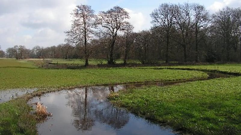 natuurlijke klimaatbuffer