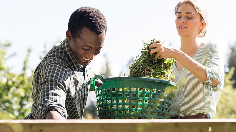 Un couple dehors en train de jardiner
