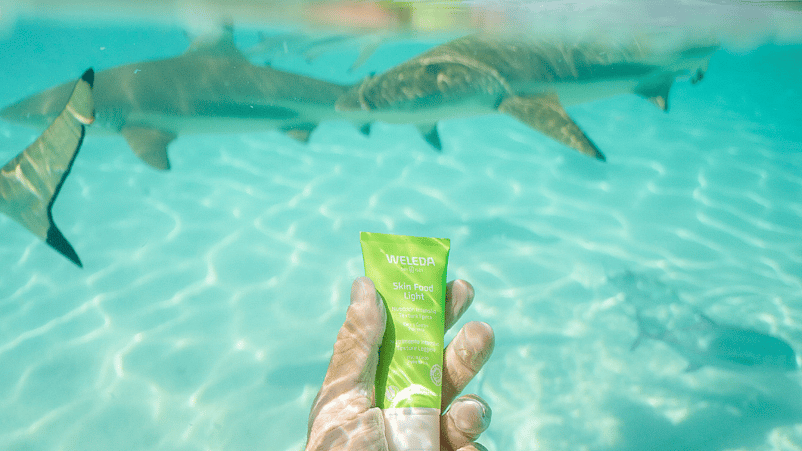 mano sosteniendo una crema Skin Food Light de weleda bajo el mar