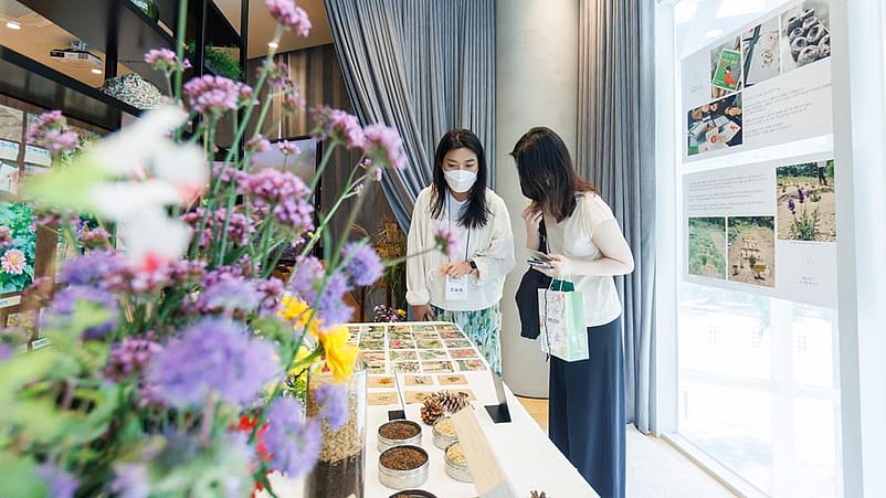 Südkorea - Pop-Up Store und Mindful Gardening Festival