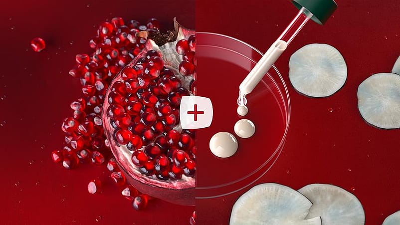 grains de grenade et pipette