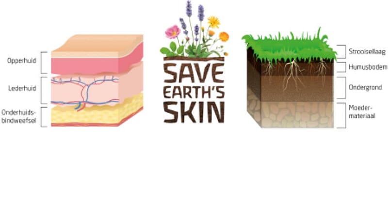 Vergelijking van de huid met de bodem