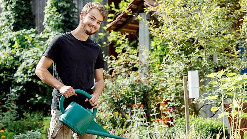 Mann giesst Pflanzen im Garten