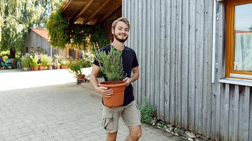 Mann trägt Pflanze im Garten