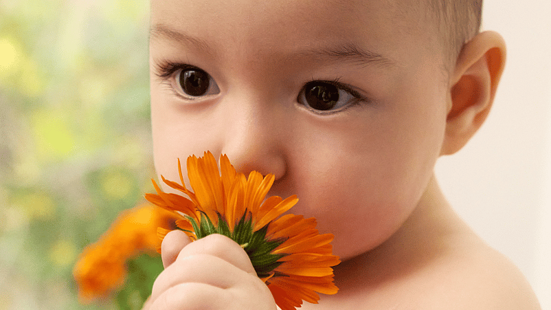 Baby met een Calendula bloem in zijn hand