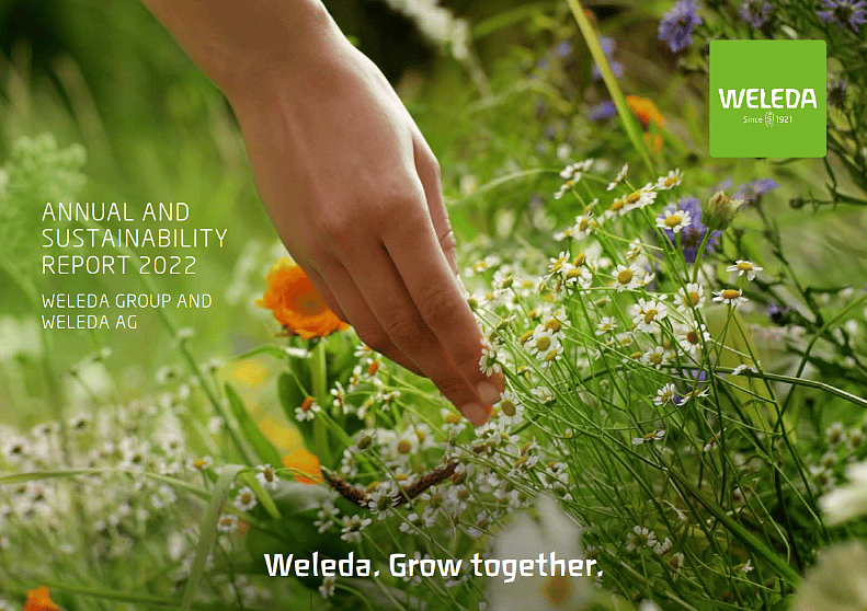 main dans les fleurs