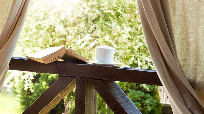 Libro, taza de té junto a una ventana que muestra la naturaleza exterior