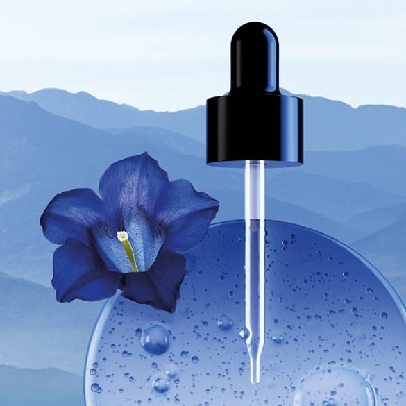 Pipette avec Complexe de gentiane