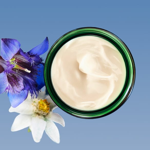 Creme Enzian Blüte Edelweiß Blüte