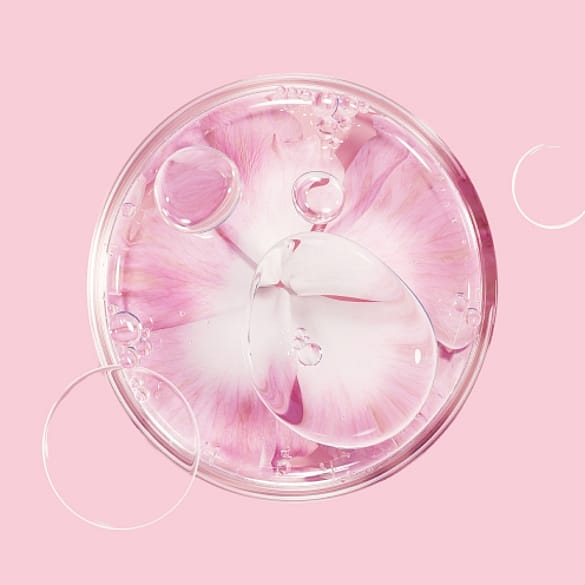 Wildrose und Wasserblasen