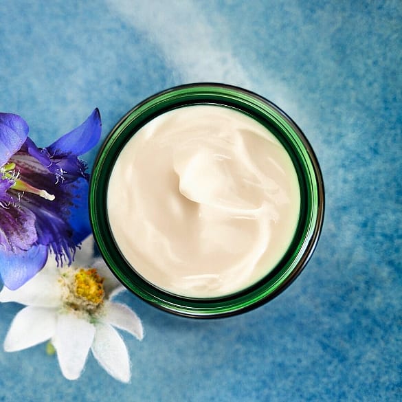 Gentiane bleue biologique