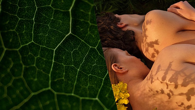 Cover Geschäftsbericht