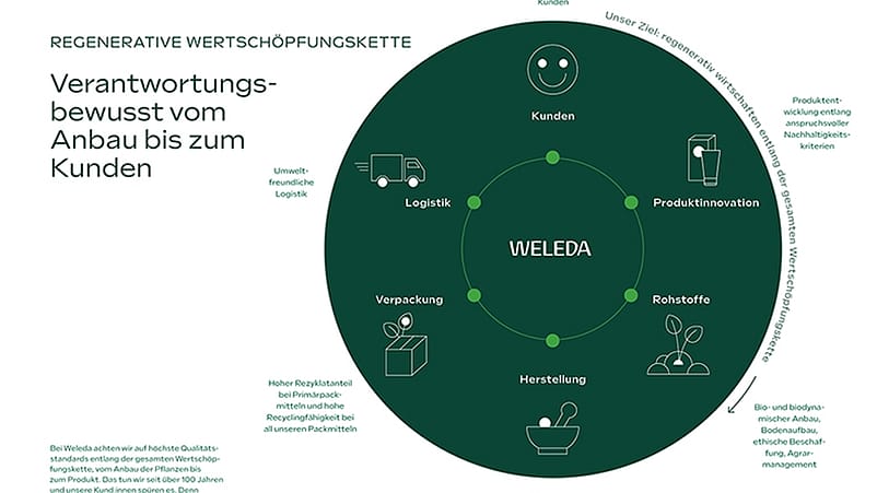 Regenerative Wertschöpfungskette: Produktinnovation, Rohstoffe, Herstellung, Verpackung, Logistik, Kunden. Unser Ziel: regenerativ wirtschaften entlang der gesamten Wertschöpfungskette.