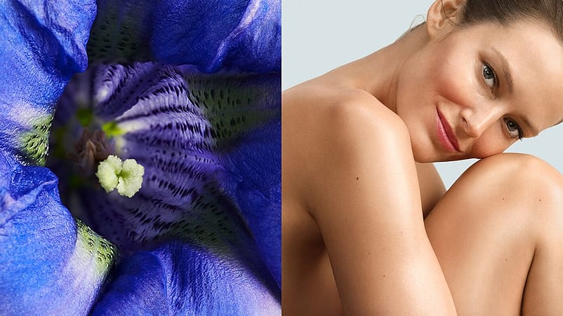 Frau mit blauem Enzian