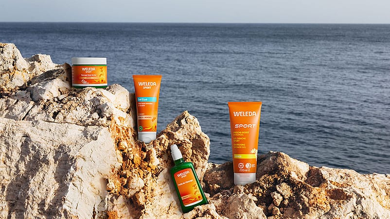 Weleda Arnika Produkte auf einem Felsen am Meer