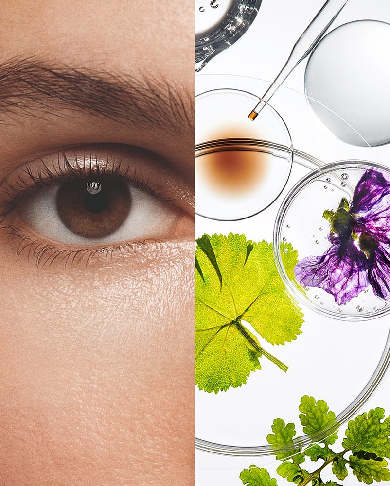 Split Image Auge einer Frau und Pflanzen