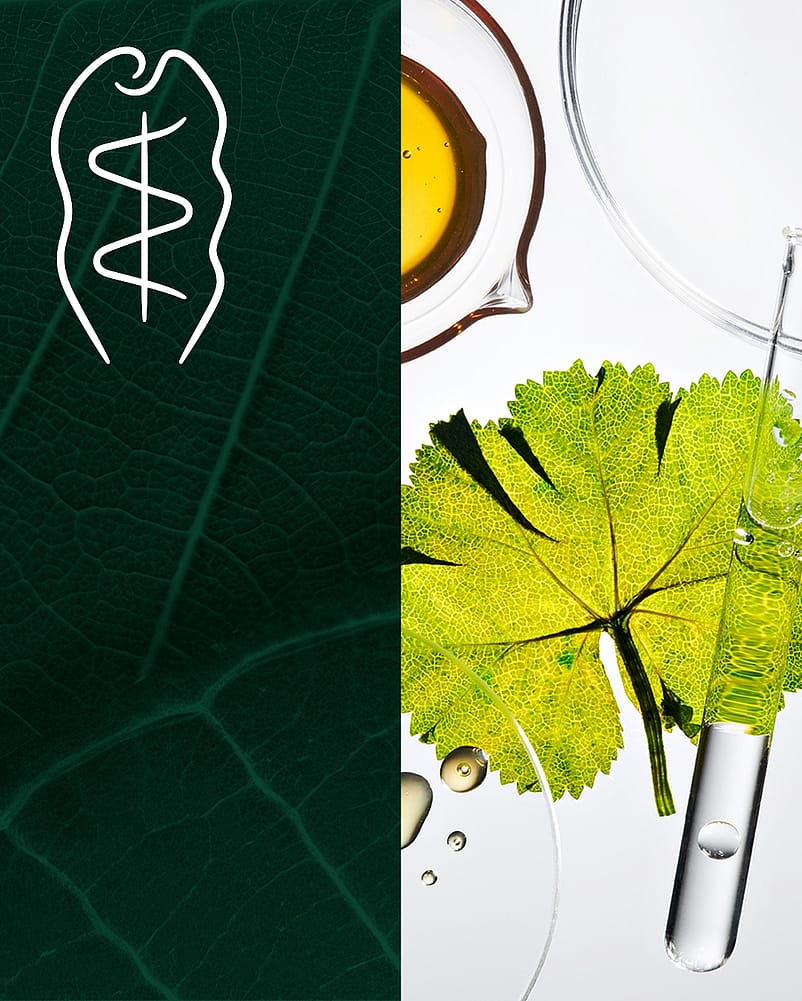 Split Image, links Weleda Logo, rechts Pflanzen