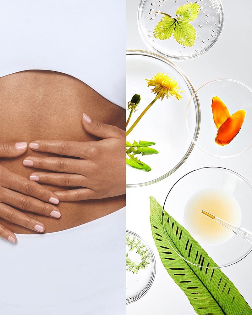 Split Image, links Frau die ihre Hände auf den Bauch legt, rechts verschiedene Pflanzen in Petrischalen