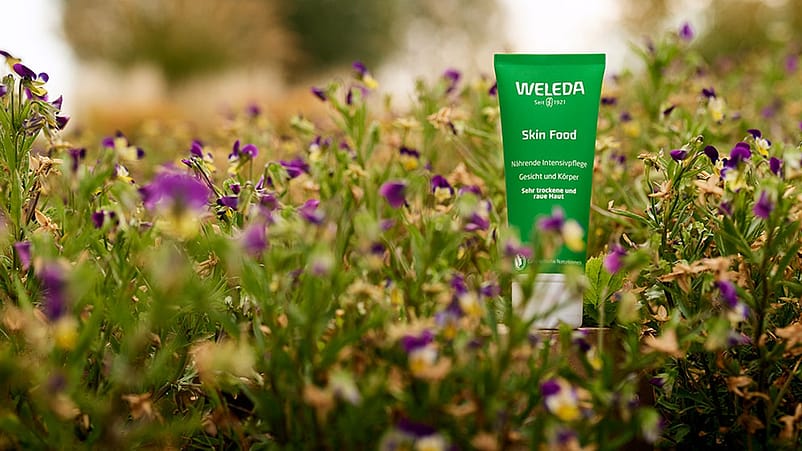 Un tube de Skin Food dans un champ de pensées