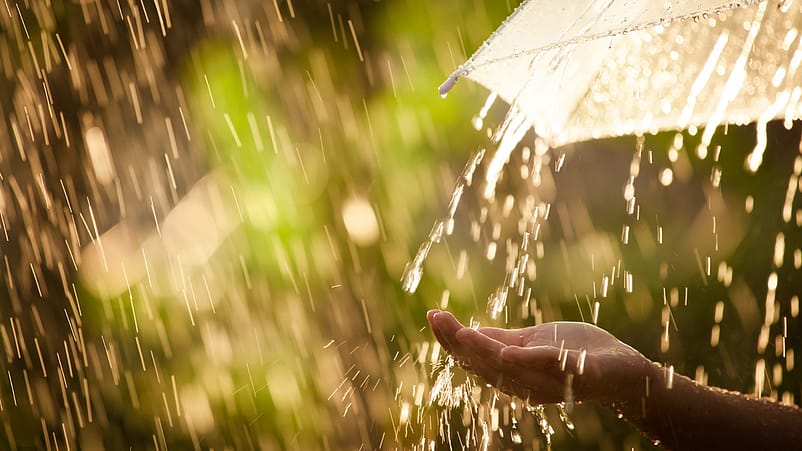 Regen und Regenschirm