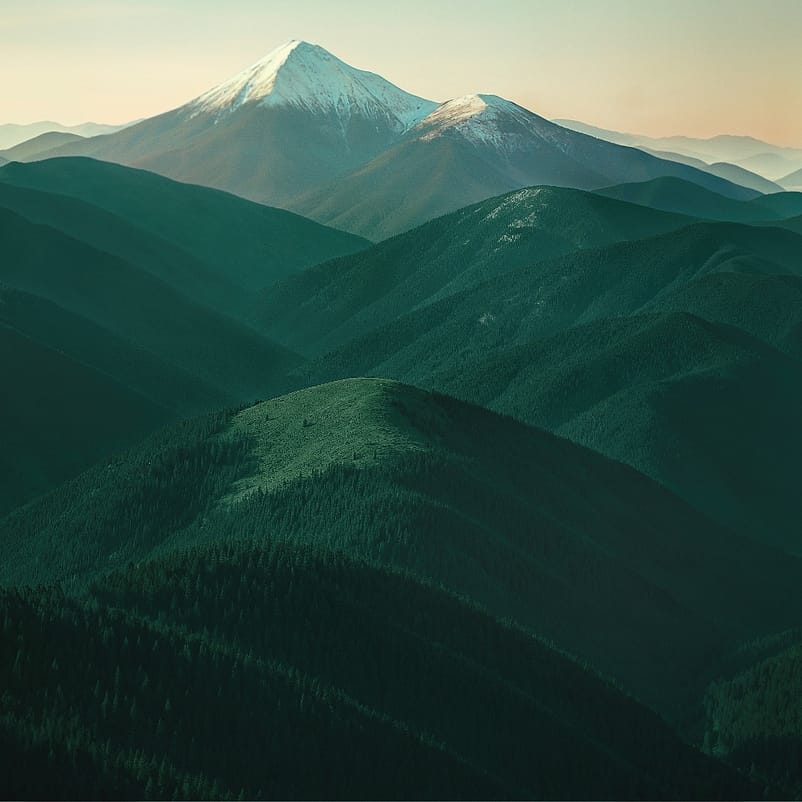 Cell longevity mountains