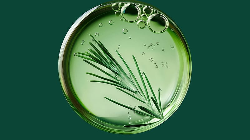 La fito-infusión Skin Food