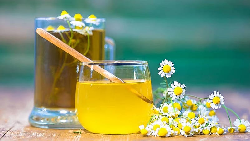 plantes pour retrouver le sommeil