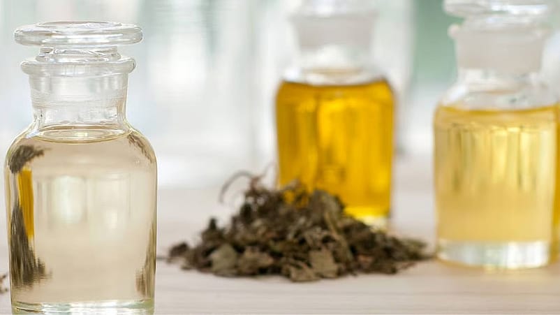 Les huiles végétales