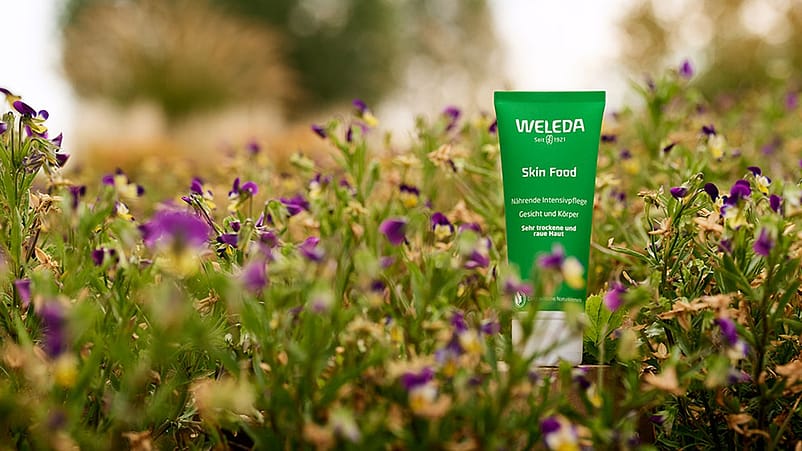 Skin Food Tube im Stiefmuetterchen Feld