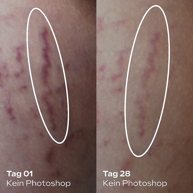 Ingredients Body Butter