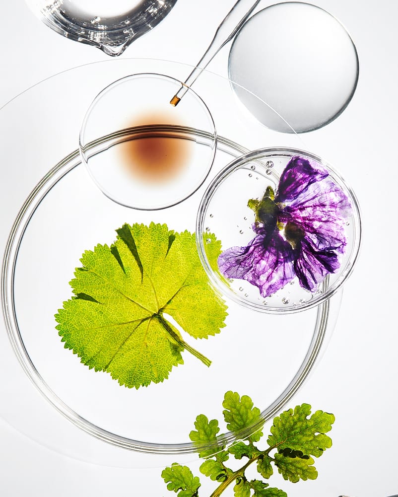 Split image, Weleda logo on the left, plants on the right