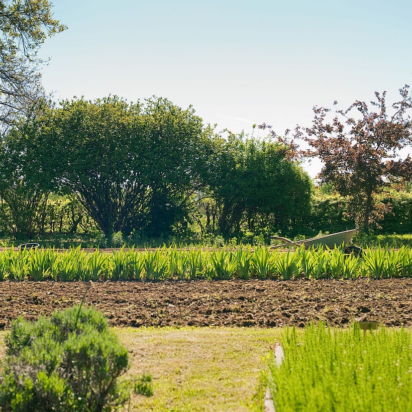 Grosser Garten und Acker mit Schubkarre