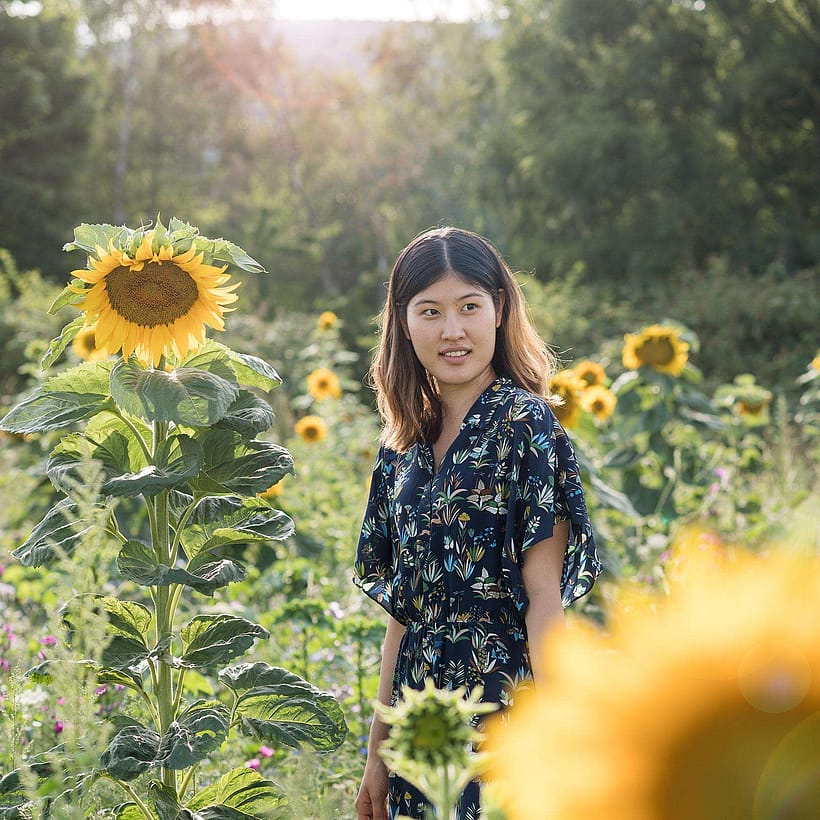 Frau steht in Sonnenblumenfeld
