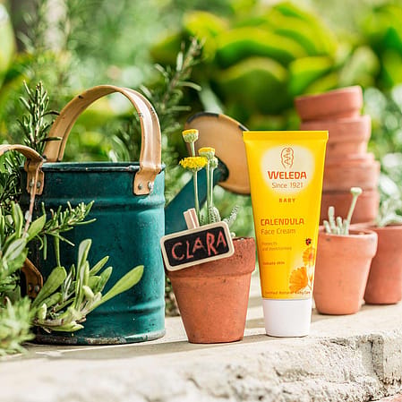 calendula products