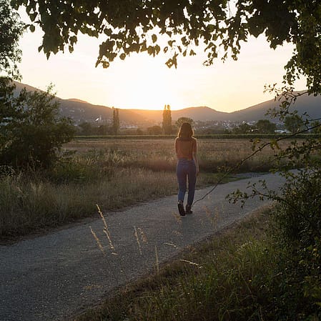 Frau spaziert in der Abenddämmerung am Waldrand