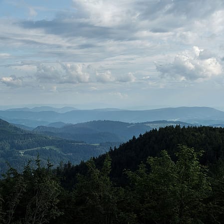 Aussicht auf die Alpen