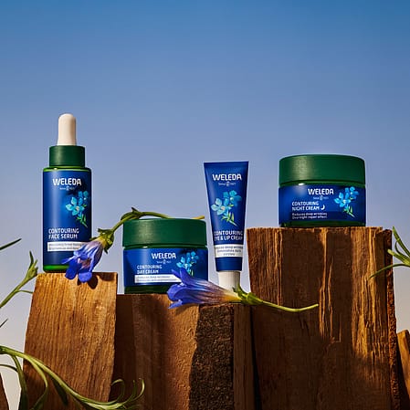 Contorno de ojos, serum, crema de día y de noche redensificante de genciana azul y edelweis