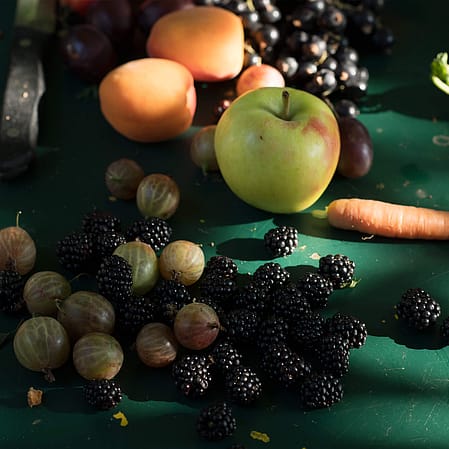 Auswahl an Früchten