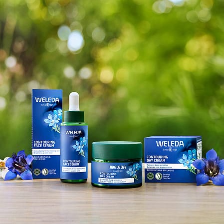 Blue Gentian products panorama image