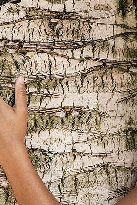 dark skinned woman hugging a tree.