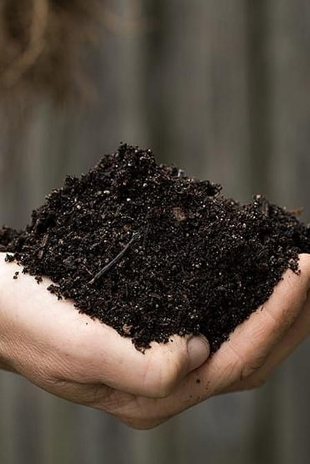 hd_soil_in_hand.jpg