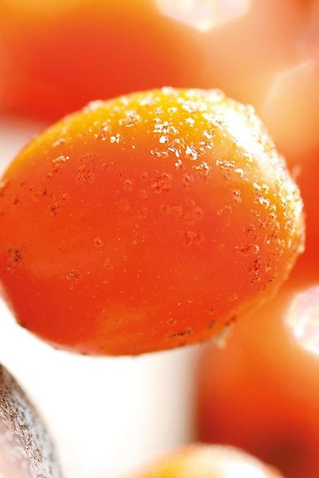 sea buckthorn closeup