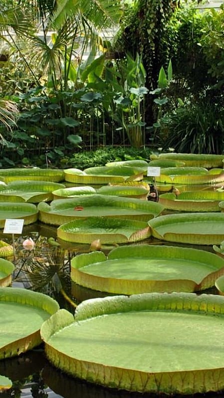 Plantentuin Meise